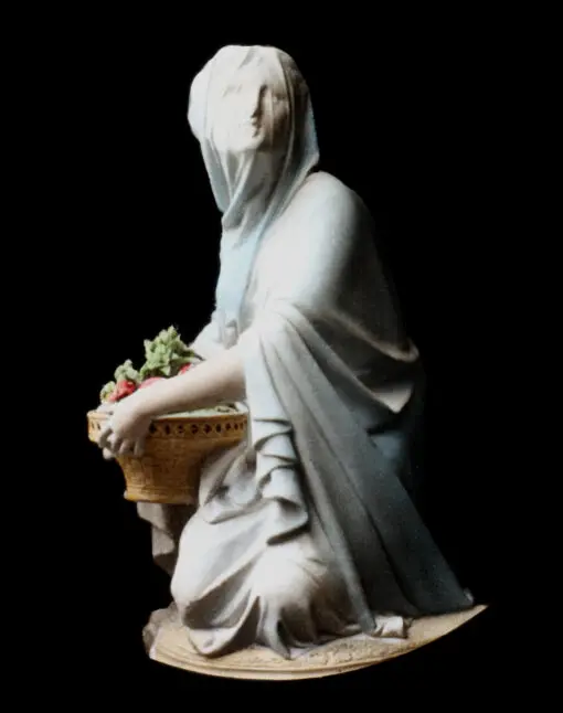 Veiled Lady