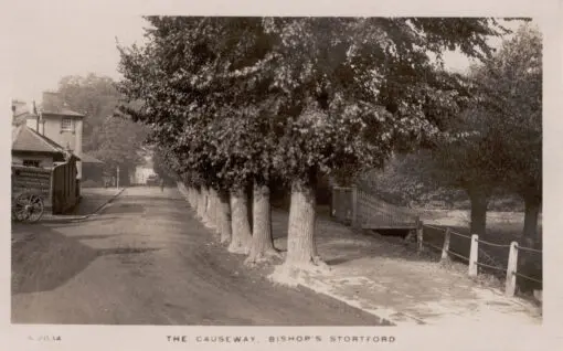 The causeway