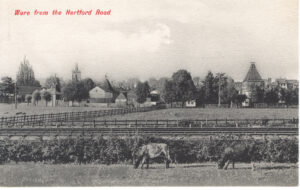 Ware from the Hertford Road.